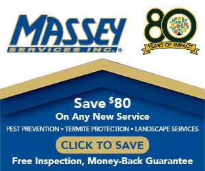 Medium Rectangle – 300×250