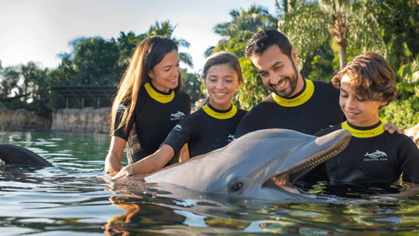 Family petting a dolphin at Discovery Cove